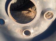 Grajewo ogłoszenia: Sprzedam kola z oponami zimowymi do VW, Skoda. Rozmiar 195/65 R15. - zdjęcie